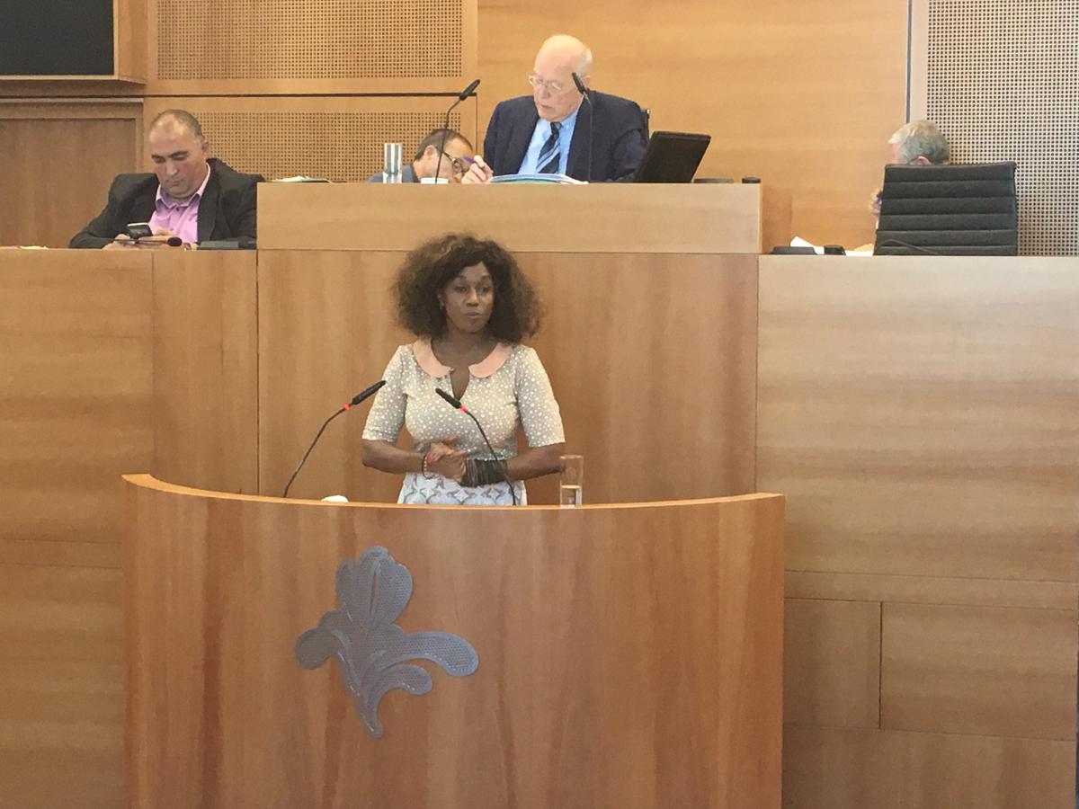 Fatoumata Sidibé  Fatoumata Fathy Sidibé Députée parlement bruxellois